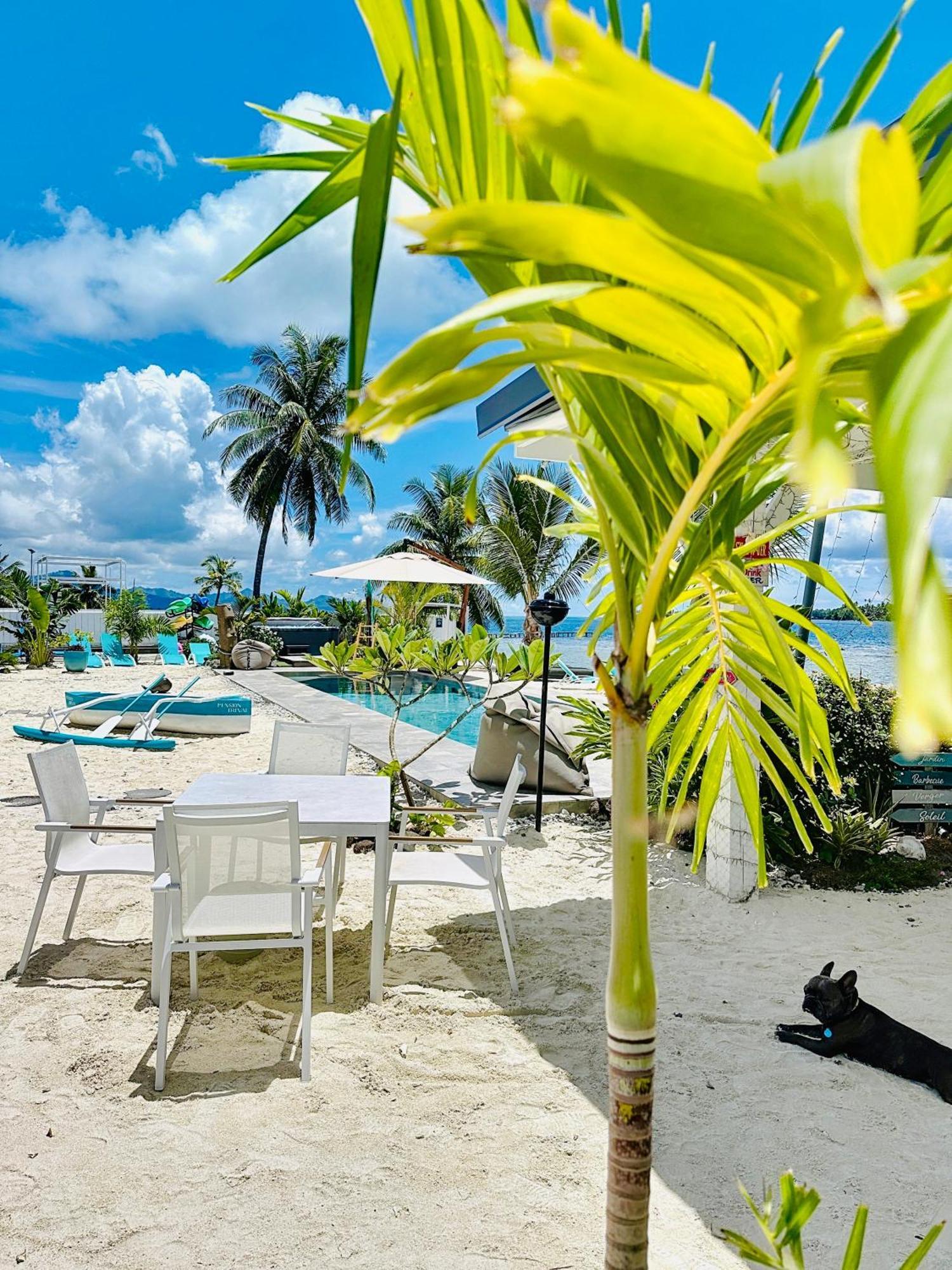 Pension Irivai, Appartement Uo Uo 3 Chambres Vue Mer Uturoa Exteriör bild